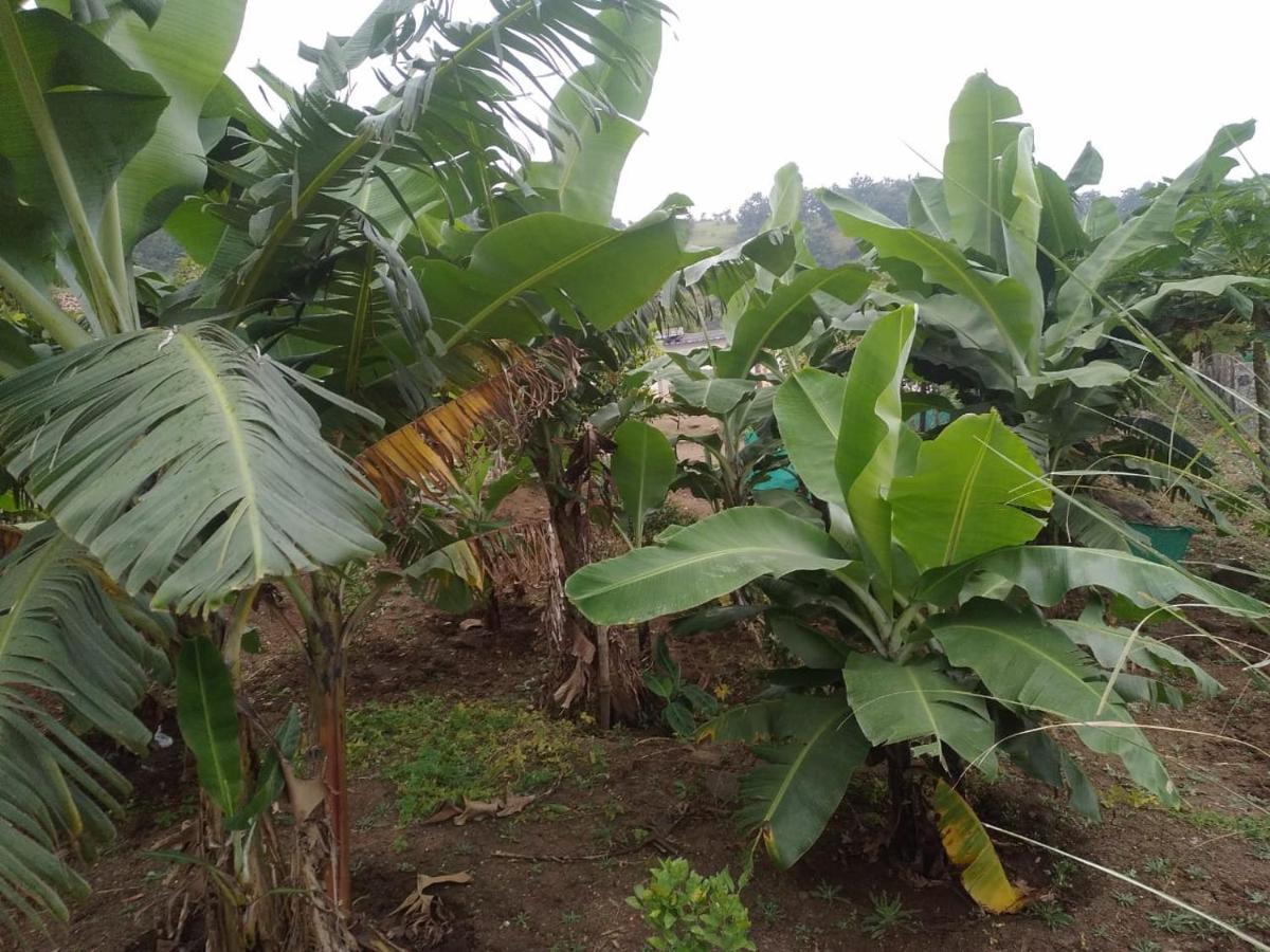 Hotel Jandyal Farm House Malshej Ghat Exterior foto